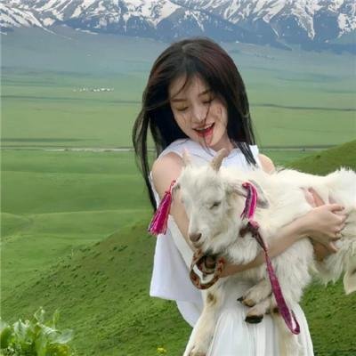 犬神家族2018